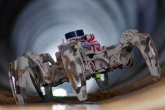 为统一个灯夜和、彼此支持的光阴